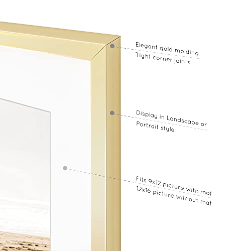 Homeforia - 12X16 Inch Metal Picture Frame - 12 X 16 Aluminum Photo Frames - 12X9 Mat - Tempered Glass - Wall Hook Included - Set Of 1 - Gold #TOP5