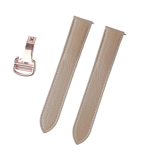 JeBG h \ RNV S[gXLU[ EHb`XgbvijpA18`20mm̎vɑΉj