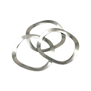 Ldhnfbyv LDHNFBYV Tellerfedern 50 Stück