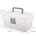 BangQiao Multipurpose Plastic Storage Container Box with Handle and Latch Lock, Clear Gray