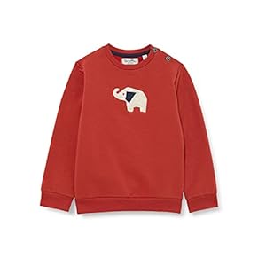 Sanetta Baby-Jungen Rot Sweatshirt