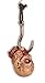 Hooked Bloody Ghoul Head Halloween Decoration