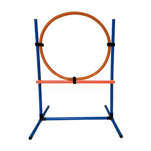 yRoastMezőgݗĂȒPŁAǂɂłݒuł܂BpAWeBߋBQg[jOpn[hAWsOt[vAWsO|[́Ả^g[jOɍœKłBg[jOZbgɂ͎^тɕ֗ȃL[obOt