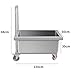 ELUKHT Deep Sink Stainless Steel Mop Pool with Mobile Cart, Durable Tool Storage Box for Laundry, Garage, or Outdoor Garden Use,120 * 50 * 88Cm