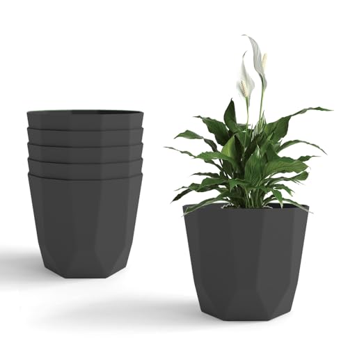 Image of YUCCABE ITALIA SHERA Hexa Plastic Planter Pot for Plants | Decorative Flower Pot | UV Protected Lightweight Indoor Outdoor Gamla for Home Decor, Balcony, Garden & Living Room