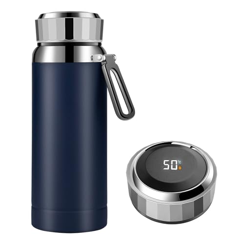 Homealexa Termo de 800 ml, termo al vacío, de acero inoxidable 304, indicador de temperatura con pantalla táctil LED, perfecta para el hogar, oficina, viajes, deportes (azul)