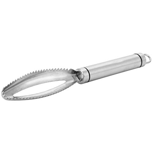 Fish Scaler Brush, Stainless Steel Fish Scaler Remover with Sawtooth Easily Removing Fish Scales Cleaning Scraper Fish Descaler Tool for Hotel Restaurant Outdoor Fishing