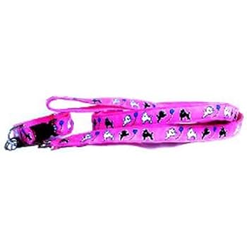 pink collar and lead