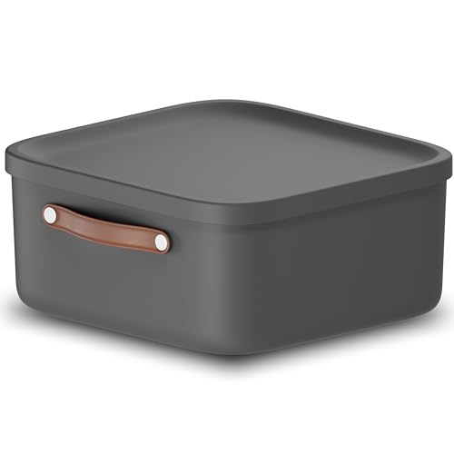 Rotho Maloja Opbergdoos 20 l, Plastic (gerecycled PP), 20 (39.5 x 38.0 x 17.7 cm)