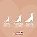 Rosewood Salmon Fillet Strips Large – Weicher Hundesnack mit 97 Prozent Lachs, proteinreich und fettarm, ohne Getreide, ohne künstliche Zusatzstoffe, 150 g