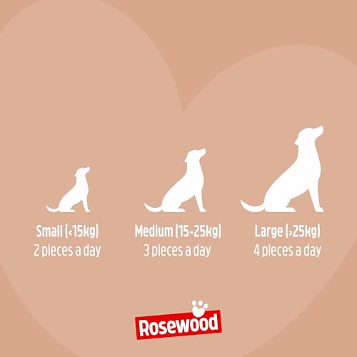 Rosewood Salmon Fillet Strips Large – Weicher Hundesnack mit 97 Prozent Lachs, proteinreich und fettarm, ohne Getreide, ohne künstliche Zusatzstoffe, 150 g