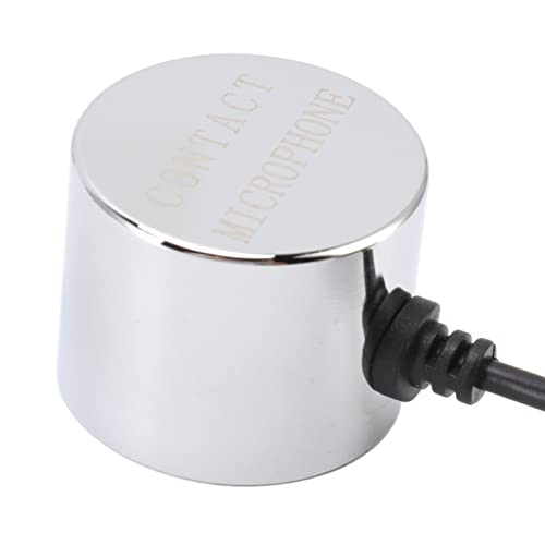 Détecteur de fuite d'eau à double sonde de pénétration