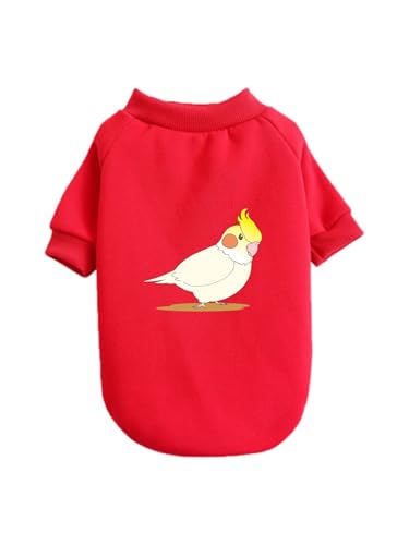  킢 IJCR ybg hbOEFA ̕ L ybgEFA h _炩 іh~   t@bV U ybgpi