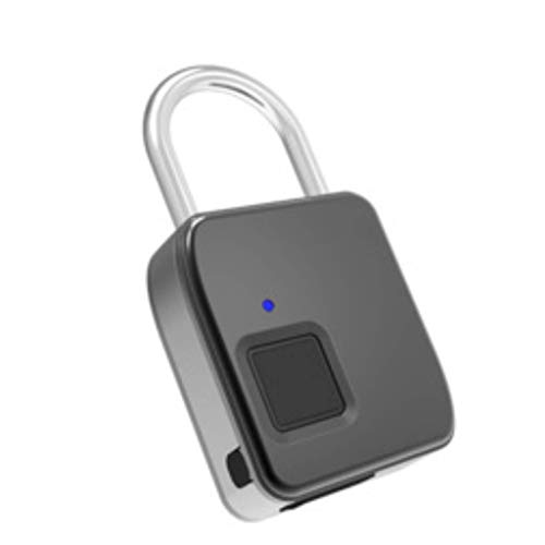 Preisvergleich Produktbild QZ Fingerabdruck Vorhängeschloss Smart Passwort Elektronische Kleine Sperre wasserdichte Außenlager Kabinett Gepäck Handgepäck Türschloss (Farbe : Silber)