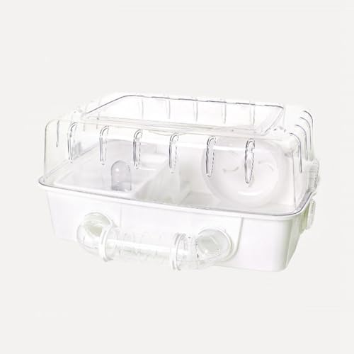 nX^[P[W pP[W  AN DIY\ ABS nX^[nEX  傫 glt ؂₩ P[W  bg `Cj[YnX^[ {tXL[nX^[ LxnX^[ ґZbg zCg 