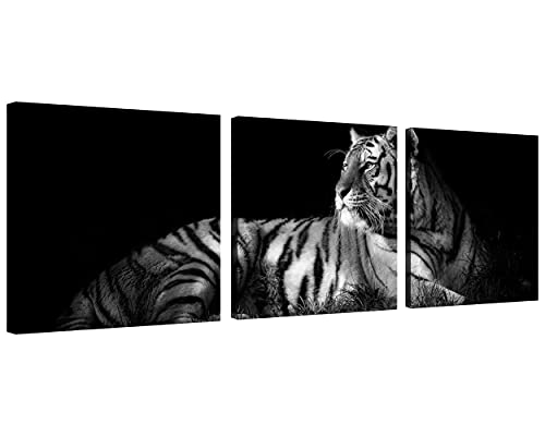 Nan Wind Black And White Wall Art Canvas Wildlife Wall Decor Feline Tiger Pictures On Wall Art For Home Office Decorations Living Room Bedroom And Kitchen Decor 3 Pcs Framed Canvas Prints 12X12Inches #TOP12