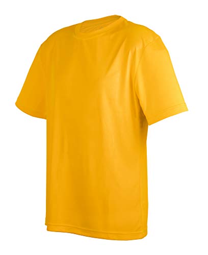 Workout Shirts for Men | Moisture Wicking Shirts, Breathable Build - Athletic Gold CA5200 XL