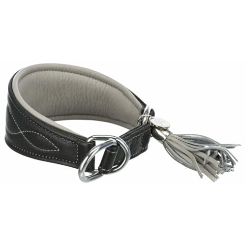 TRIXIE Active Komfort Windhunde Halsband Größe XS: Halsumfang 21-26 cm/40 mm in schwarz - extra breites Hundehalsband für sehr kleine Hunde, schützt den Kehlbereich, unterfüttert, 18960