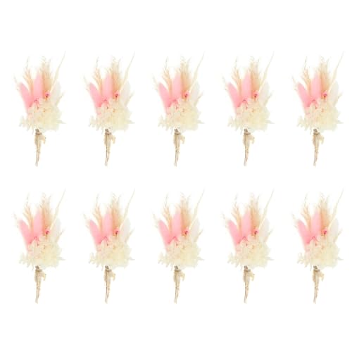Mini Ramo de Flores Secas Pampas Natural 10 Unidades Rosa Claro miniatura 1