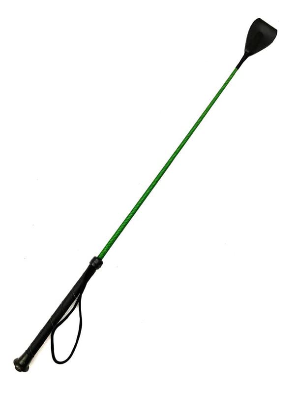 Pets Triangle 24 inches Synthetic Handle, Nylon Loop, Leather Flap & Plastic Cap Stick Ideal Dog Walking and Dog Training Durable and Will Not Become Slippery(Green) (B0BN1H11S3) Amazon Price History, Amazon Price Tracker