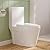DeerValley Elongated One Piece Toilet with Comfortable Chair Seat Height 17", Dual Power Flush Toilet 1.1/1.6 GPF and 10” Rough-in Toilet Bowl DV-1F52102R