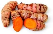 Turmeric Root - Whole Raw Organic Root - 10 Lb. Lots - Top Grade