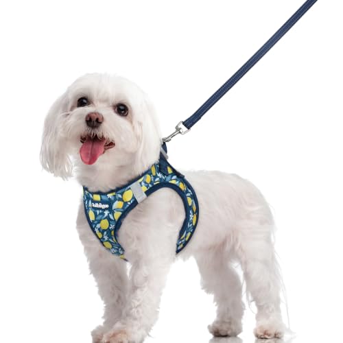 Image of rabbitgoo Dog Harness Medium Sized and Leash Set, Step-in Puppy Pet Vest