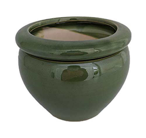 Hirt's Gardens Round Self Watering Glazed Ceramic Pot - Green - 6 1/4 x 4 3/4