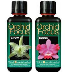 GT- Focus Range For Orchids Chillies, Specialist Plants, Fruits & Trees (100ml - Orchid Grow & Bloom)