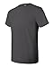 Hanes Men's Nano Premium Cotton T-Shirt (Pack of 2), Smoke Gray, X-Large