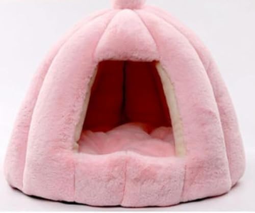 Lxbh nEX h[^ ybgxbh ۉh ybgnEX ^ Lp H~p Lxbh xe ~ ی^ ~ p ΍ y ybgpi L (48*48cm,sN)