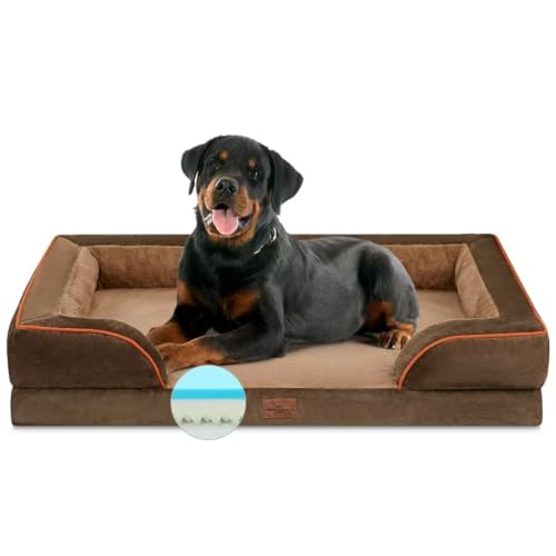 Comfort Expression Gel Memory Foam Dog Bed