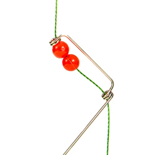 Multistrato Carply Wire Mesh Fenolico In Legno Di Eucalipto - Foto 5