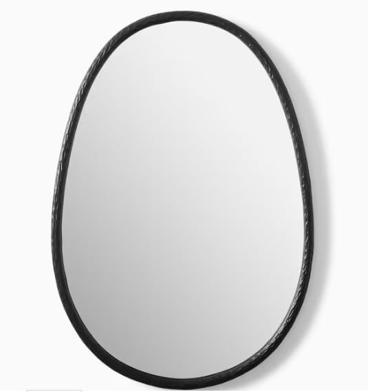 Image of Oval Wall Mirror with Black Metal Frame Modern Design