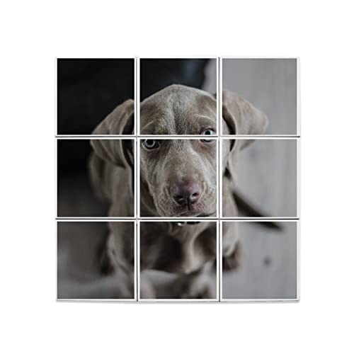 Carreaux céramique Braque de Weimar lot de 9 dalles murales 45,6x45,6 cm pour déco maison