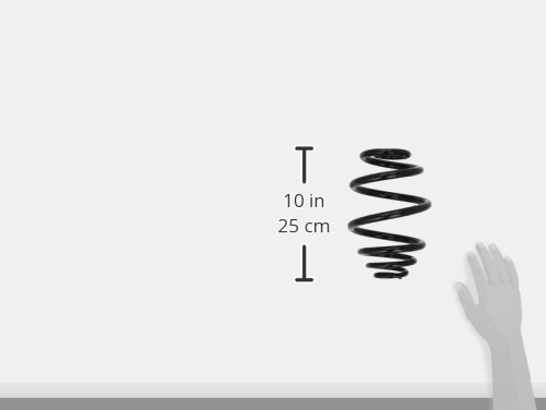 Monroe SP2788 Ressort de Suspension Oespectrum - Image 3