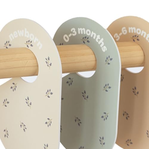 3 Sprouts – Separadores de roupa para bebé – dupla face belos separador de armários bebé desde recém-nascido até 24 meses – organizador de armário por meses – conjunto de 8 – mirtilo