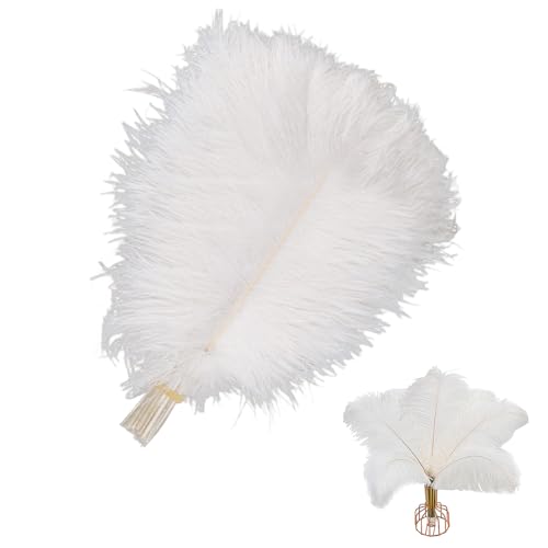Niaciswe Plumas de Avestruz 10 Piezas Plumas de Avestruz Naturales 25-30cm Plumas Grandes Plumas Decoracion Plumas Avestruz Plumas Decorativas para Boda Fiesta de Decoración