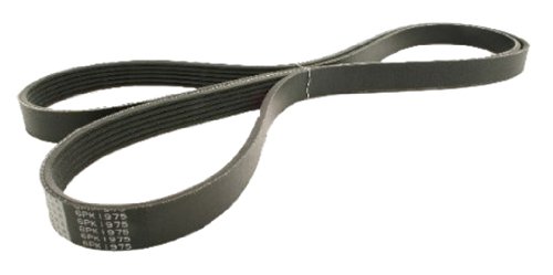 Courroies nervurées en V Japanparts DV-6PK1975 anti sifflement pour moteur