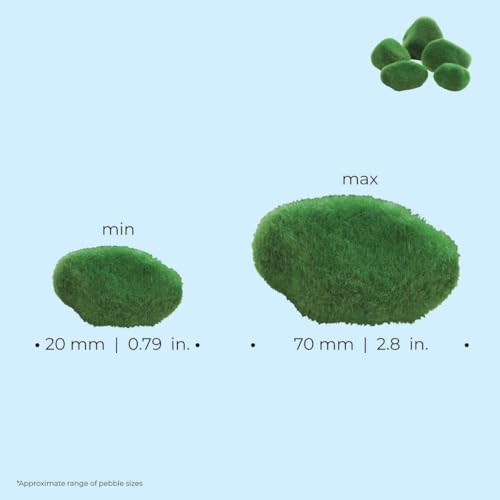 BiOrb 46084.0 Moss Pebbles Aquariums