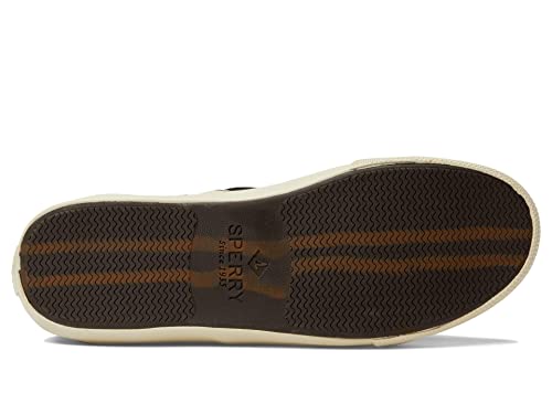 Image of Striper II CVO SEACYCLED