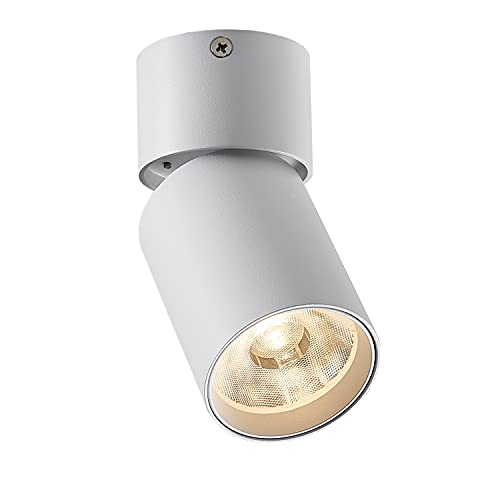 Foco LED montado en superficie 9W Luz de pared de techo regulable Giratorio 3000K 920Lumen TRIAC Atenuación para pasillo Galería Exhibición Oficina Sala de estar Cover