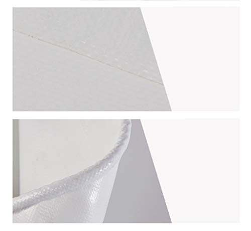 Escalpe De Segurança Estéril Scalp 21g Descarpack - 100 Und