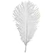 WedDecor Aqua Bleu Naturel Plumes D’Autruche 14-16" (35-40cm) Long pour Mariage, Maison Décoration Costumes, Embellissement, Art & Artisanat, Soirées (Pack de 5) - Blanc, 10