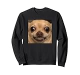 Photo Gallery divertente sfocato chihuahua raccapricciante cane sorridente meme felpa Photo Gallery divertente sfocato chihuahua raccapricciante cane sorridente meme felpa