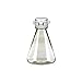 Plastic Erlenmeyer Flasks for Cell Culture and Fermentation, 1L, Autoclavable Polycarbonate (PC), 53mm (53B) VersaCap, Non-Sterile