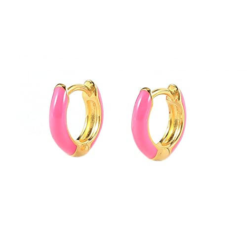 Boucles d'oreilles argent vintage émail coloré en argent sterling S925 durable