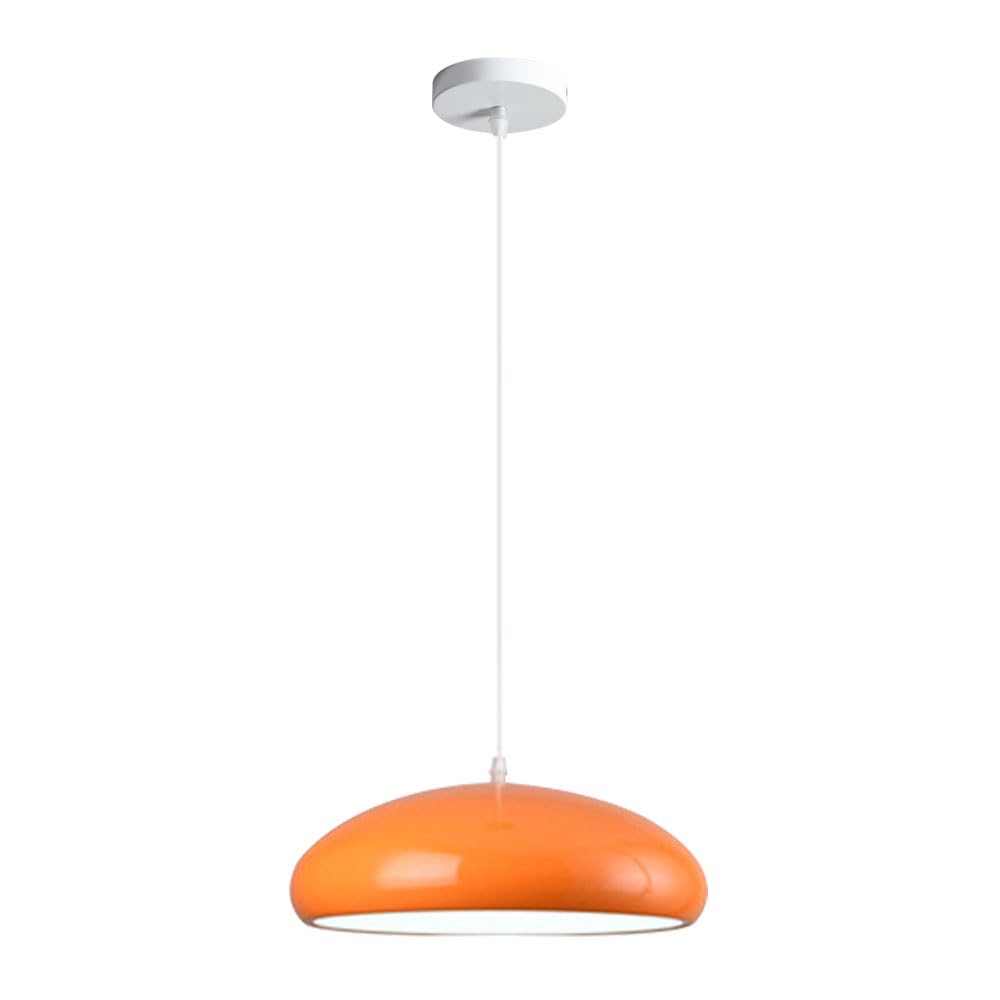 ZGDHWCR Single Head Flush Mount Hanging Lamp, Modern Industrial Pendant Light, E26 Light Source Metal Chandelier, Bedroom Living Room Balcony Decoration Light Fixtures