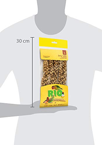 RIO Kolfgierst. Natuurlijke lekkernijen voor alle vogels, 100 g - Afbeelding 5