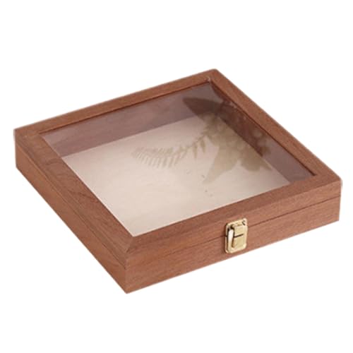 Vitrina de muestras | Organizador de...